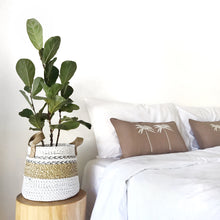 Load image into Gallery viewer, Little Cove Living