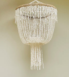 SEASHELL CHANDELIER LIGHT